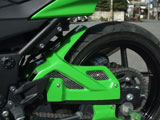 Ninja250R