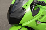 Ninja250R